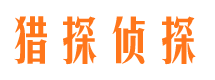 宾县市侦探公司